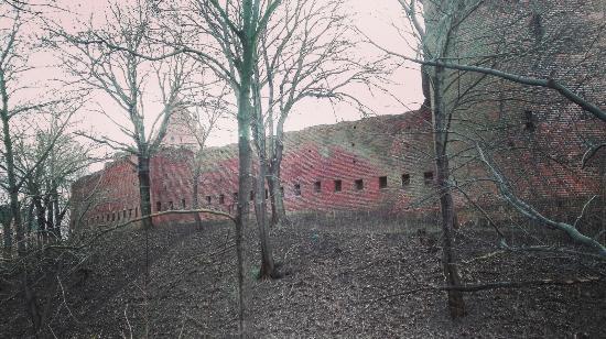 Burg Tangermünde