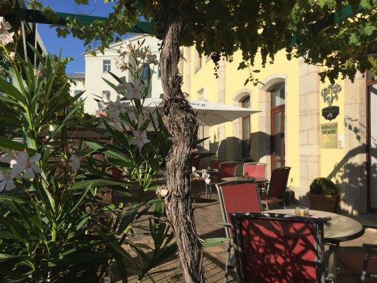 Weingut-Deckert