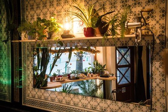 Botanica