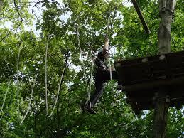 Kletterwald Koala