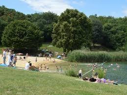 Halberstädter See