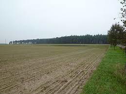 Lauseberg