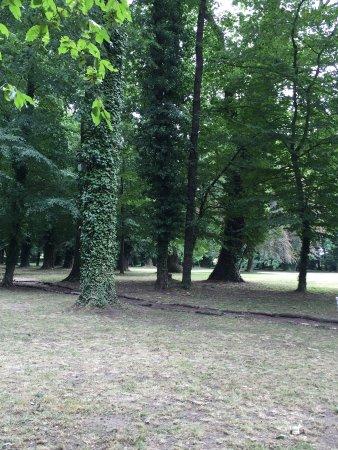 Irrgarten Altjeßnitz