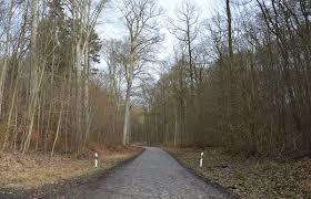 das Hohe Holz