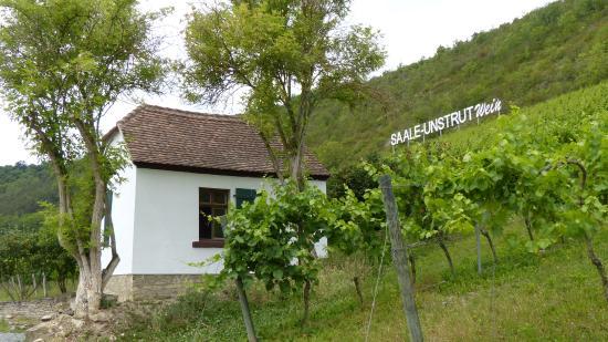 Guts Saalhäuser Weinstuben
